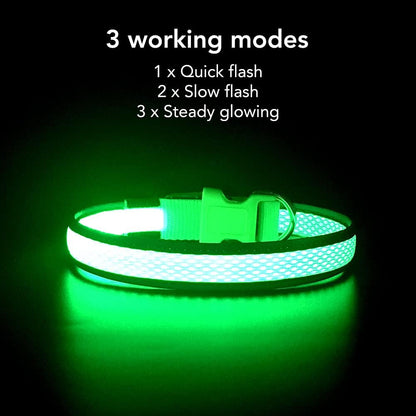 Light up Dog Collar, Rechargeable LED Dog Collar, Flashing Dog Collar, Adjustable Reflective Dog Collar Safety Glowing at Night (Green, Small)