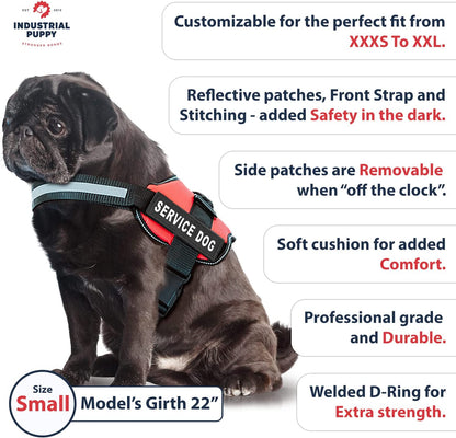 Service Dog Vest with Hook and Loop Straps & Matching Service Dog Leash Set - Harnesses from XXS to XXL - Service Dog Harness Features Reflective Patch and Comfortable Mesh Design