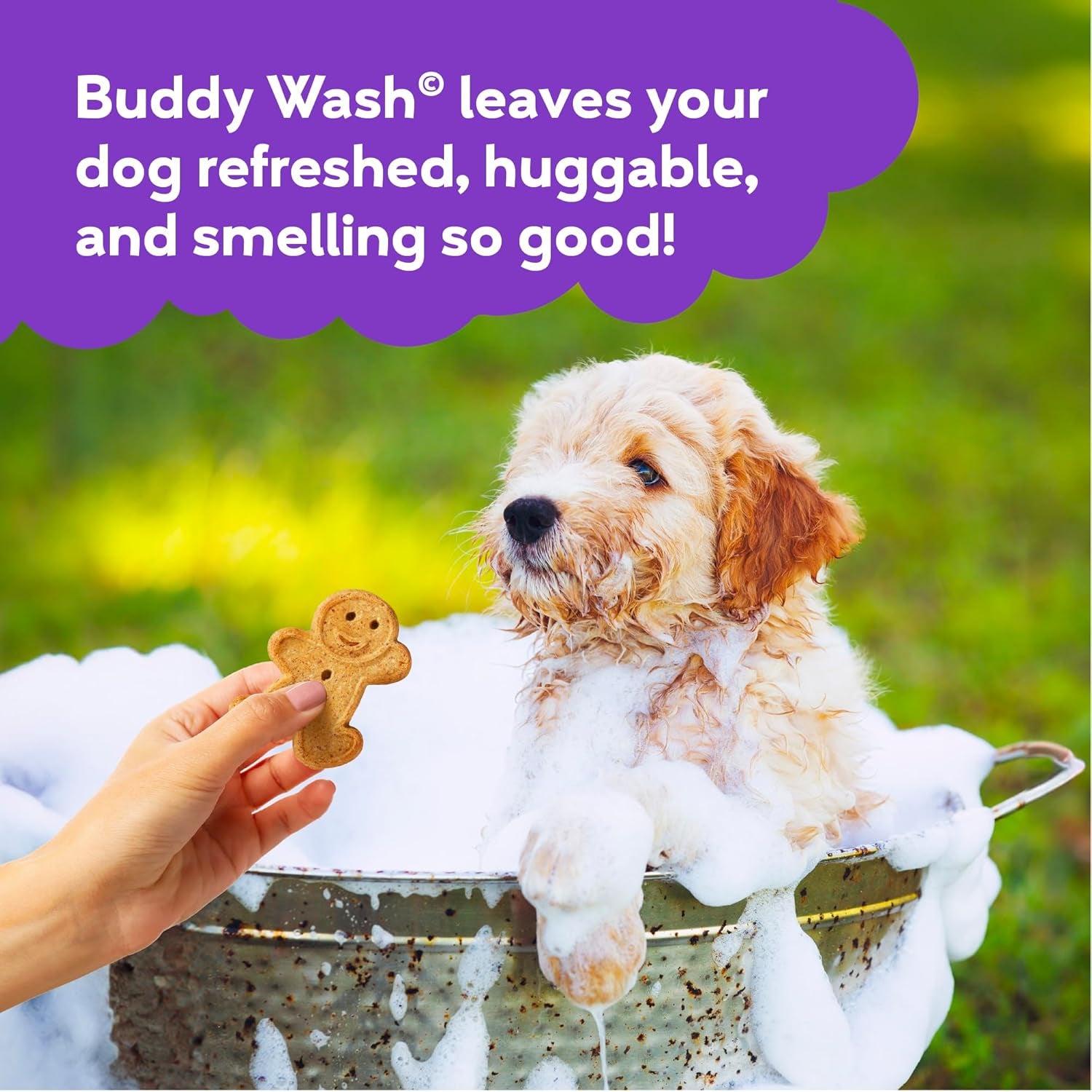 Buddy Wash Dog Shampoo & Conditioner for Dogs with Botanical Extracts and Aloe Vera