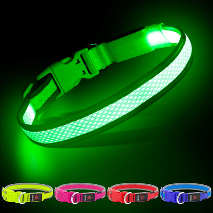 Light up Dog Collar, Rechargeable LED Dog Collar, Flashing Dog Collar, Adjustable Reflective Dog Collar Safety Glowing at Night (Green, Small)